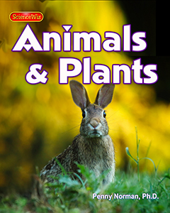 Animals & Plants