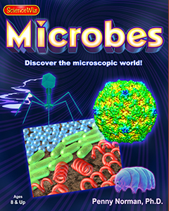 Microbes, Biofilms and Organisms as Ecosystems