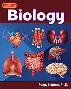 Parts of the Body
