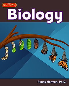 Diversity of Life and Life Cycles