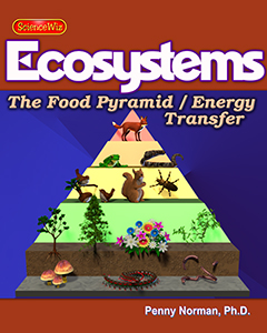 What do living things need to survive?