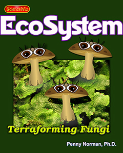 Fungi and First Ecosystems on Land