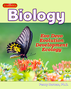 Evolution, Development and Ecology