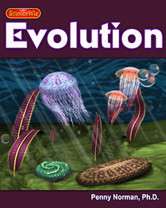 Ediacaran to Cambrian Explosion