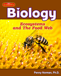 Ecosystems and Interdependence