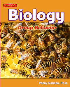 Social and Group Behavior