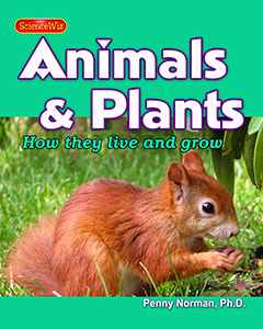 Animals & Plants