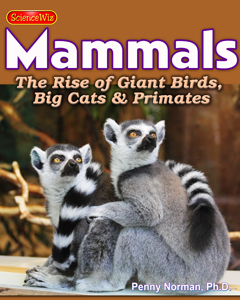 Age of Giant Birds, Rise of the Mammals