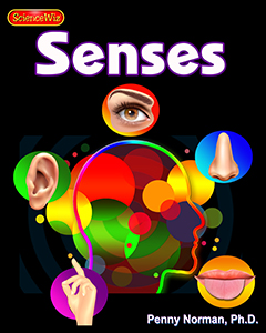 Structure, Function, and Information Processing