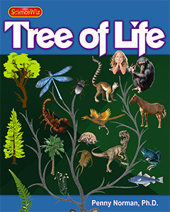 Meet the Family Tree