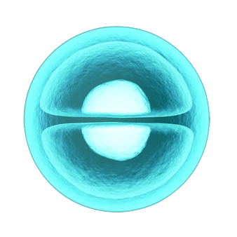 The cells in your body divide.