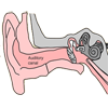 Sensitivity of the Human Ear