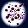 Structure and Functions of the Cell
