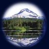Reflection and Refraction