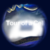 A tour inside a cell