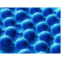 Have you ever  seen an atom?