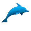 Dolphin Sonar | How Stuff Works