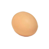 Making an egg bounce