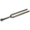 Tuning Fork Physics