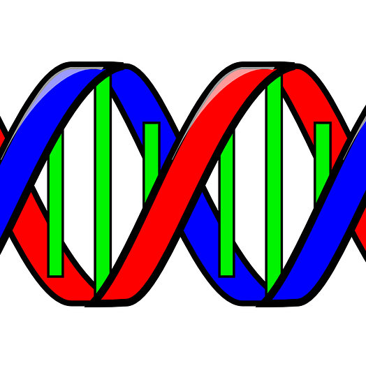 Gene Expression