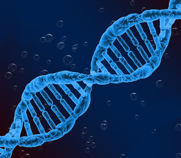 DNA Workbook Links