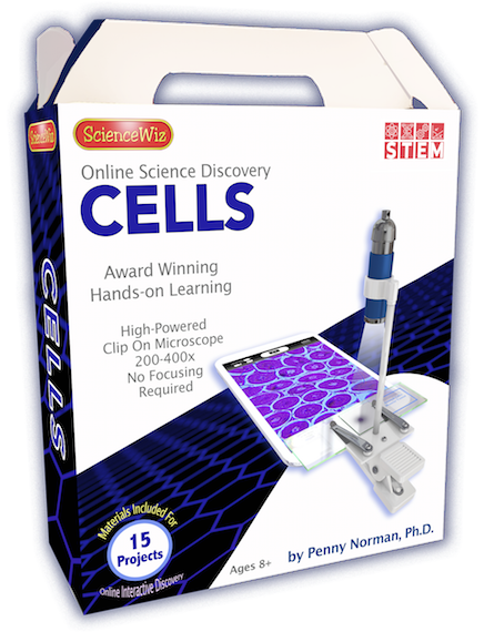 Cells