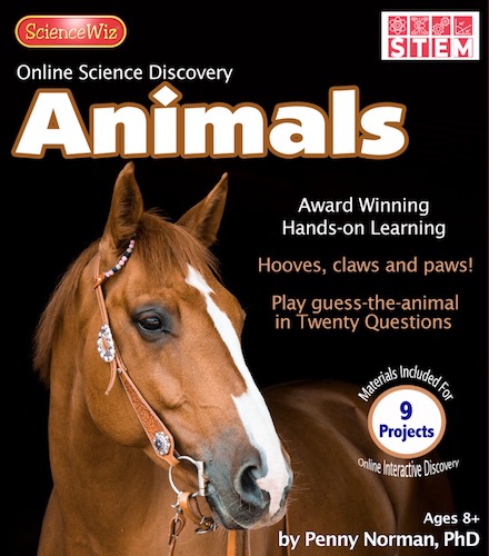 Animals