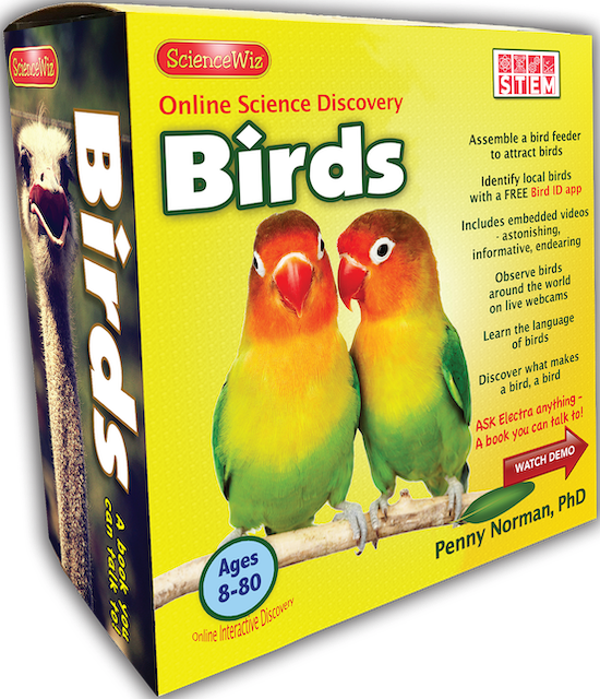 Birds